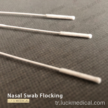 NP Flocked Swab Düzenli Floked Swab